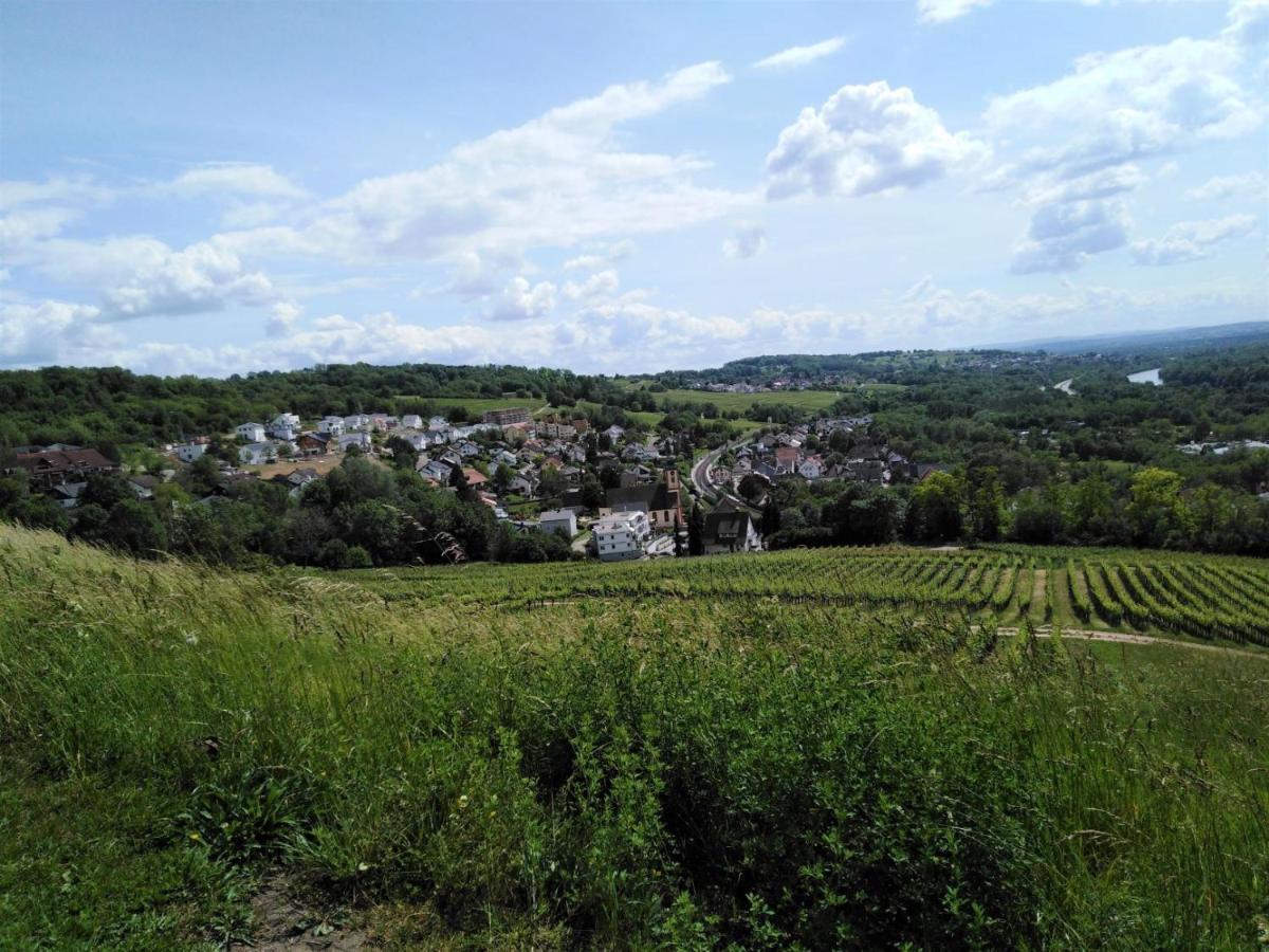 Ferienwohnung Wisser- Fernblick Bad Bellingen Dış mekan fotoğraf