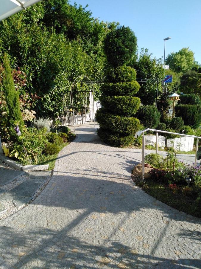 Ferienwohnung Wisser- Fernblick Bad Bellingen Dış mekan fotoğraf